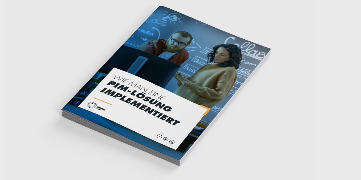 wie-man-eine-pim-loesung-implementiert